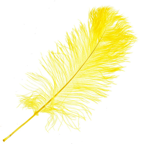 Ostrich Drab Feathers 14-16in Premium Quality Lemon image